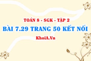 Bài 7.29 trang 50 Toán 8 Kết nối tri thức Tập 2